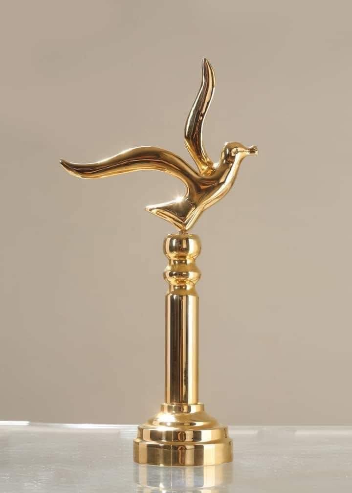 صورة 6
